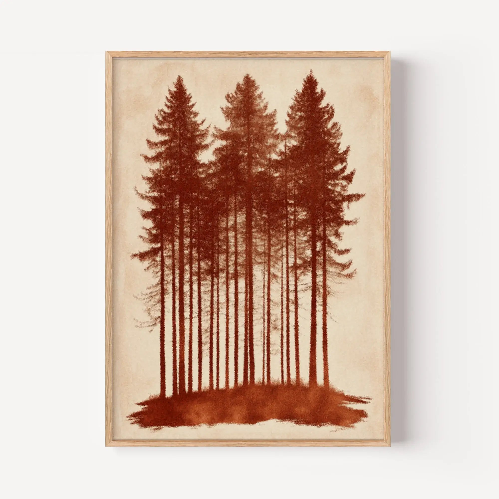 Ancient Spruce Grove