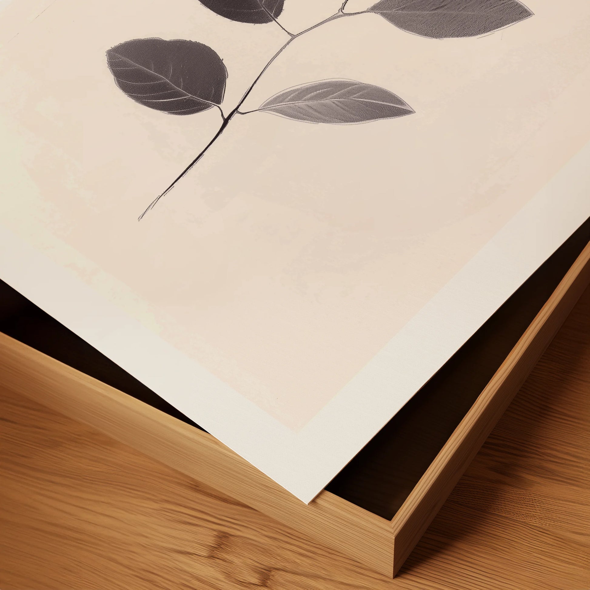 Botanical Lines and Gray Shadows