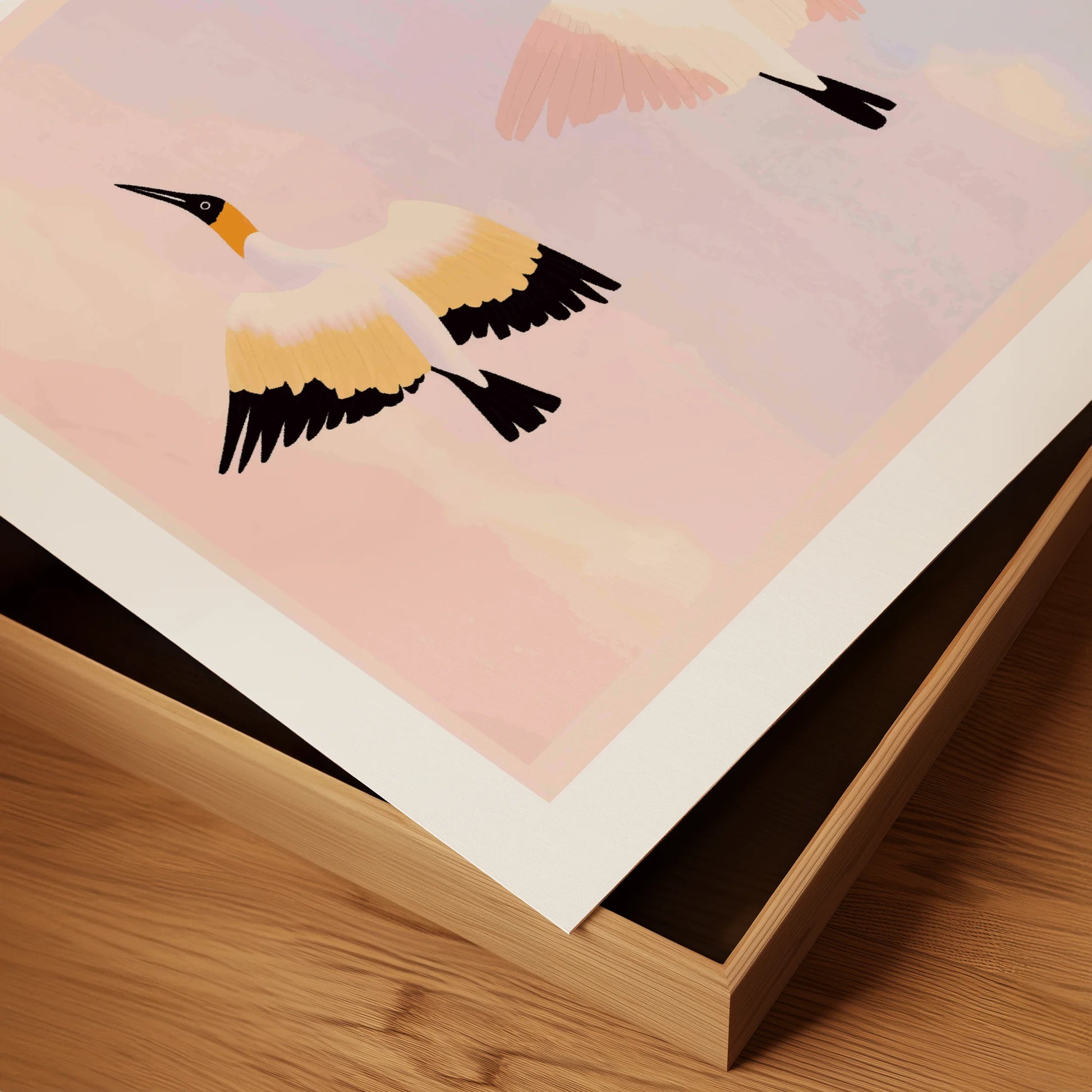 Ibis Cloud Flight
