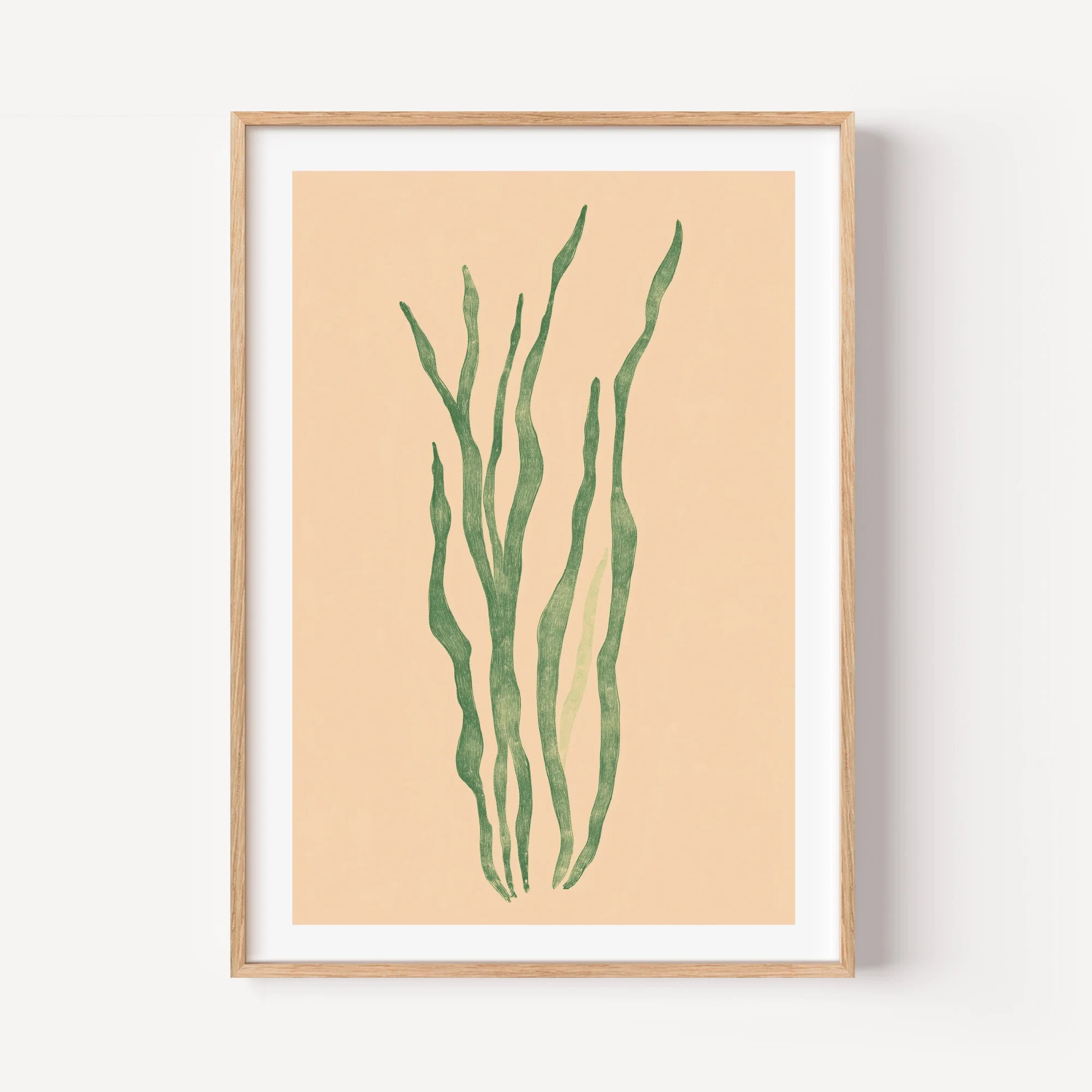 Marine Flora