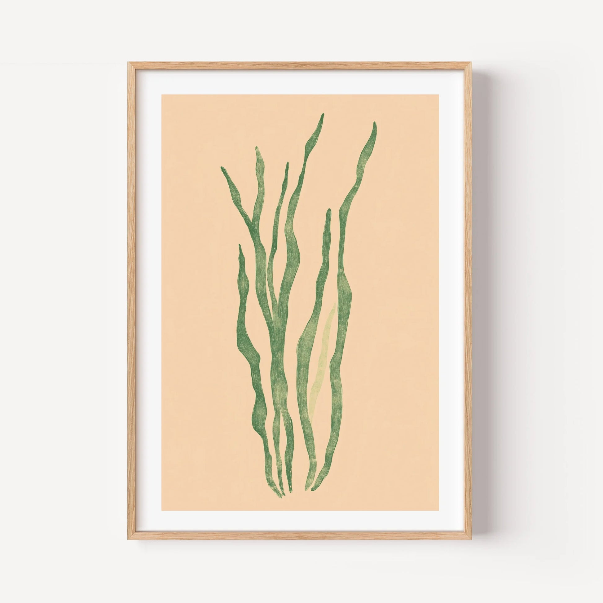 Marine Flora