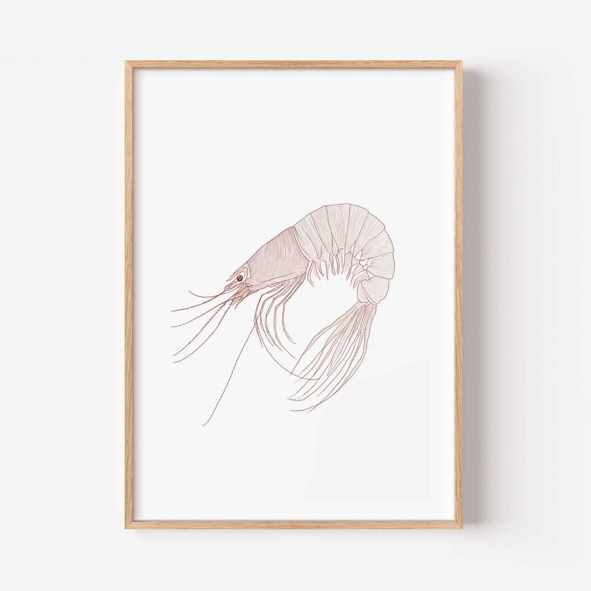 Minimalist Crimson Shrimp Study