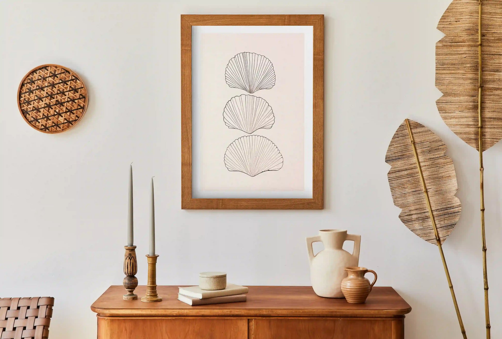 Scallop Shell Trio