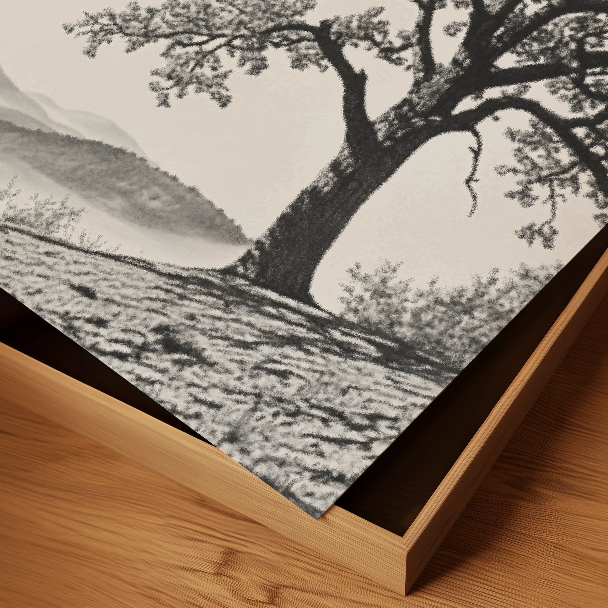 The Ancient Oak Study