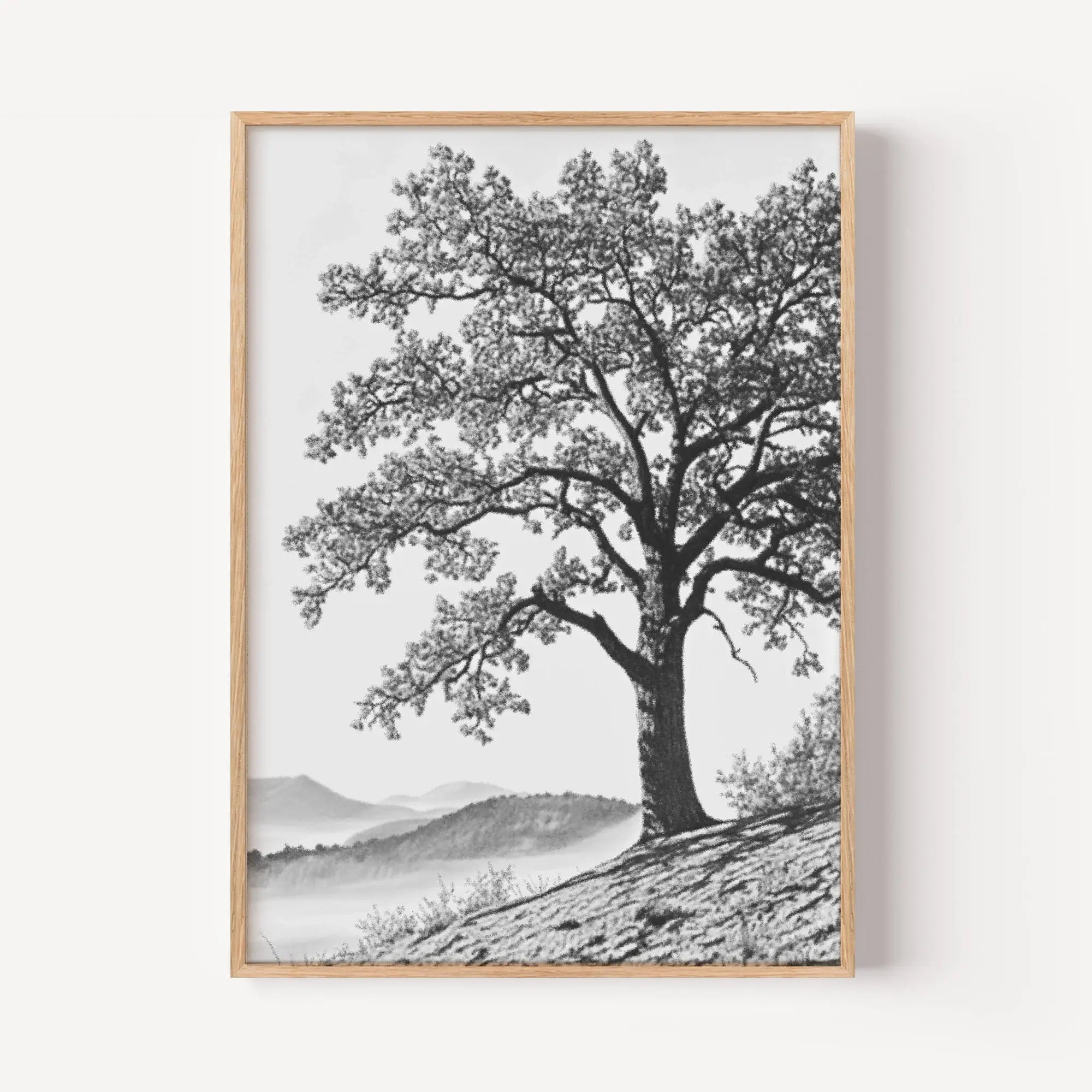 The Ancient Oak Study