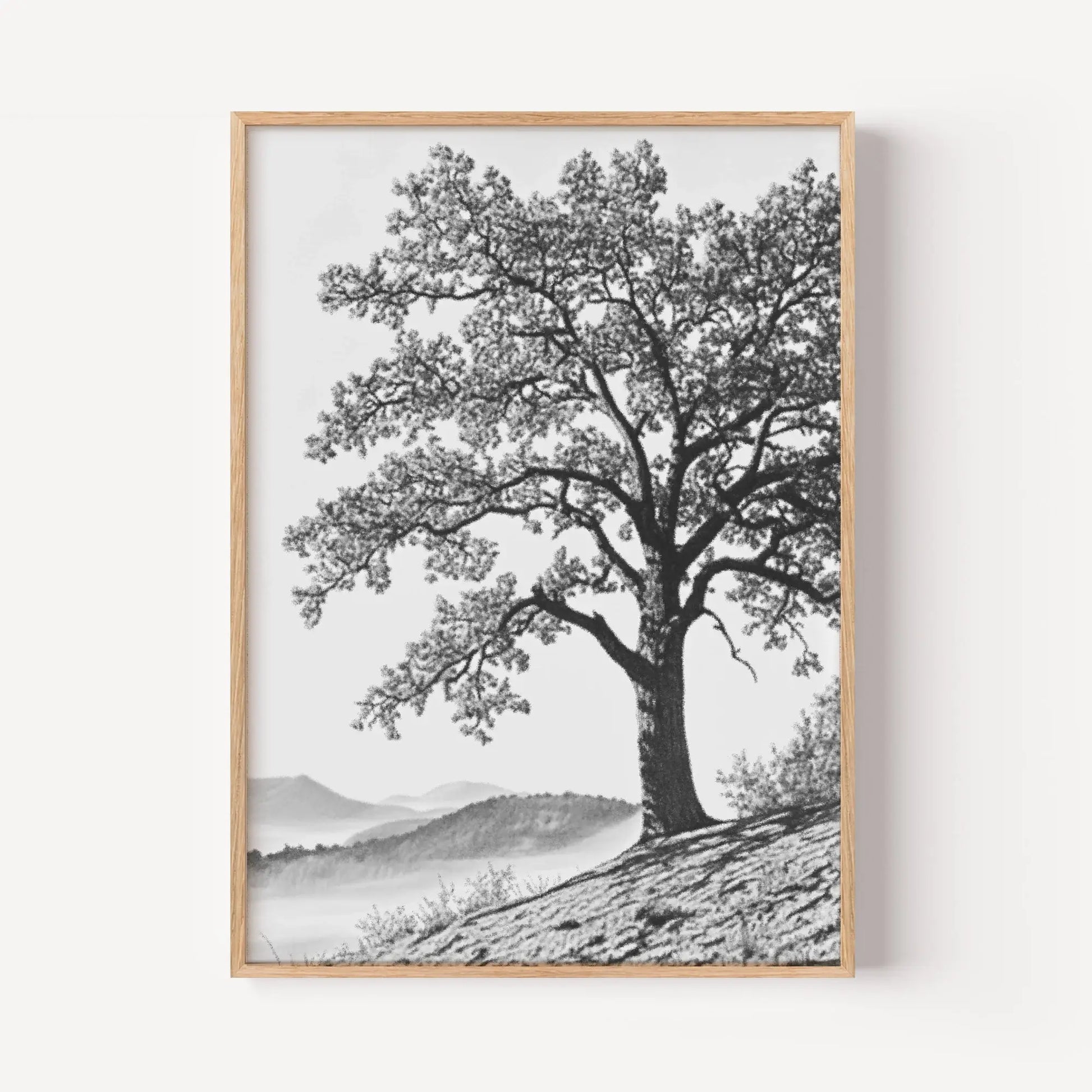 The Ancient Oak Study