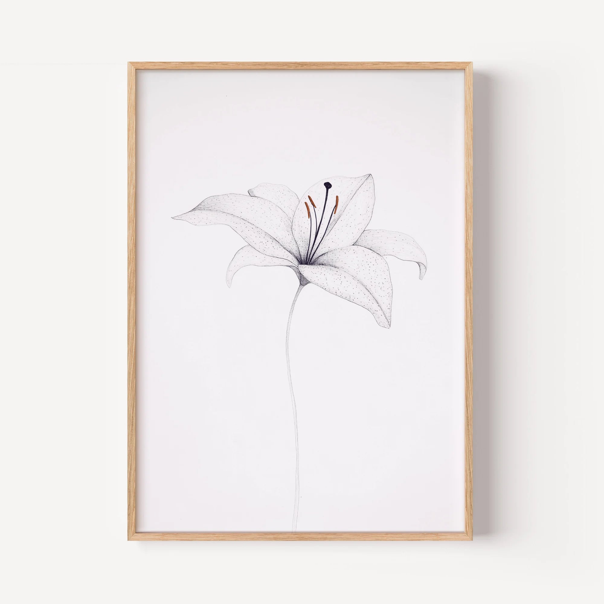 The Whispering Lily Sketch