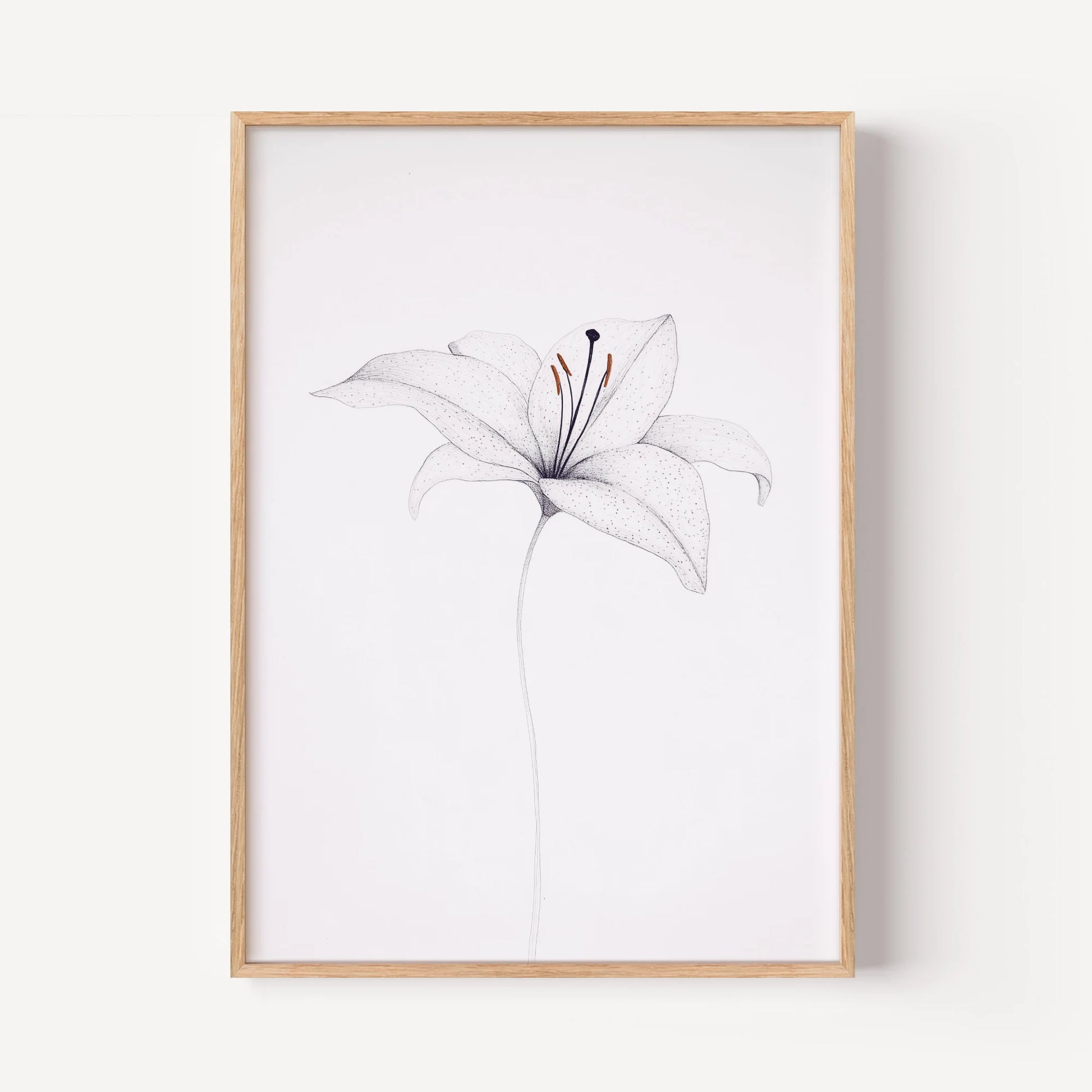 The Whispering Lily Sketch